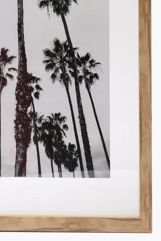 Framed Florida Palms, 40x60cm