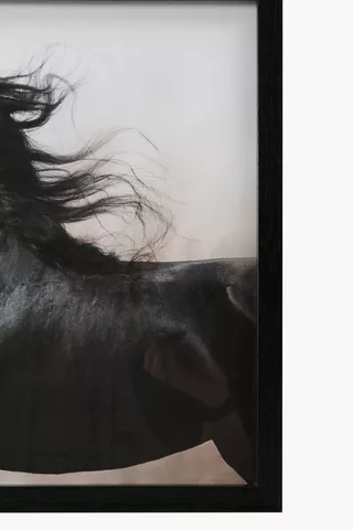 Framed Stallion, 40x60cm