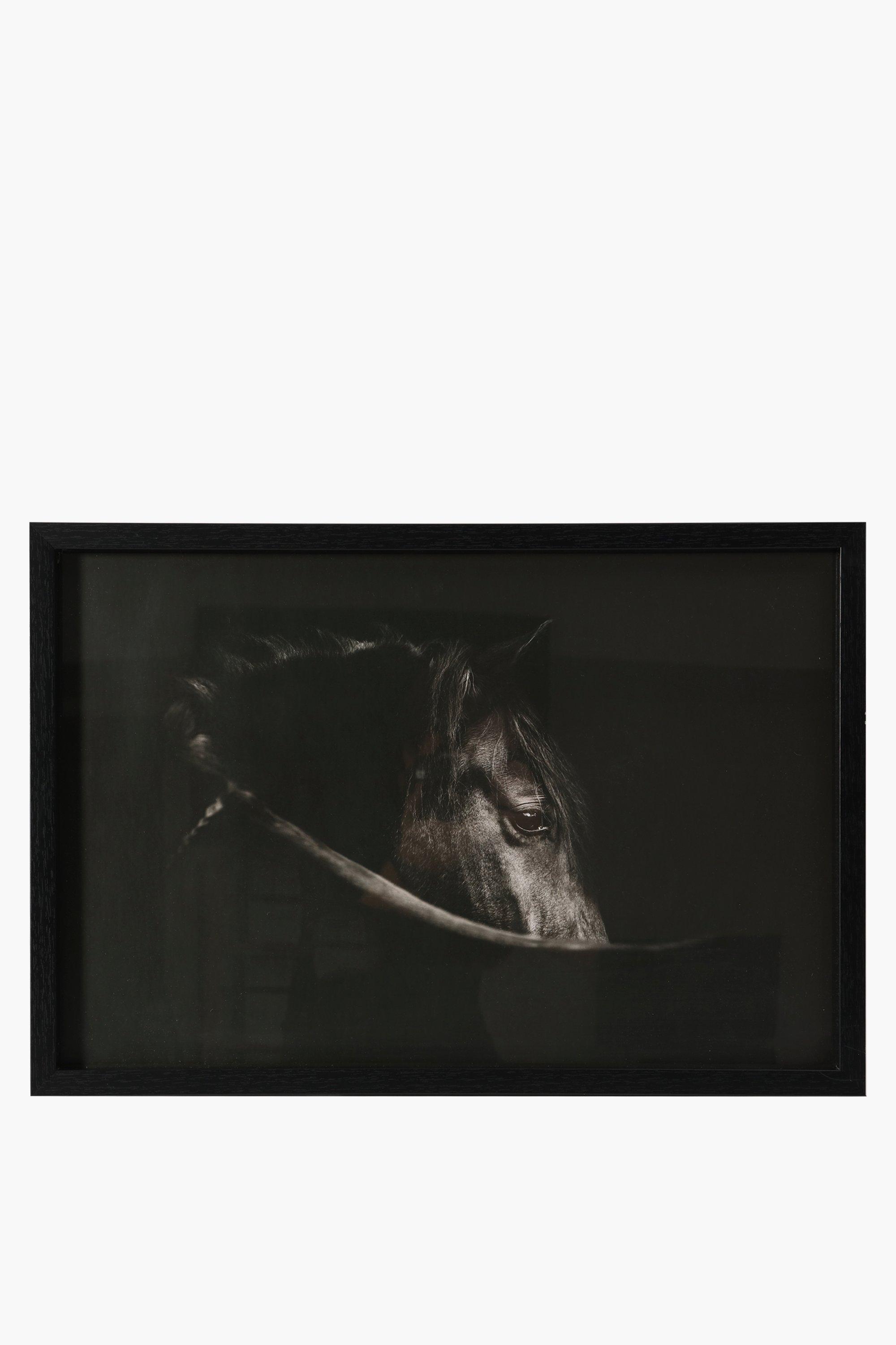 framed-dark-horse-40x60cm