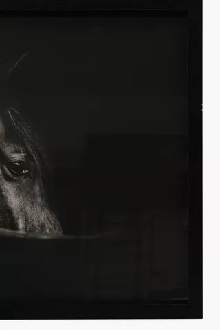 Framed Dark Horse, 40x60cm