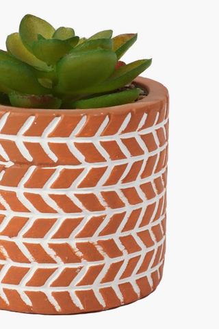 Terra Potted Mini Succulent, 8x10cm