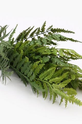 Fern Filler Bunch, 48cm