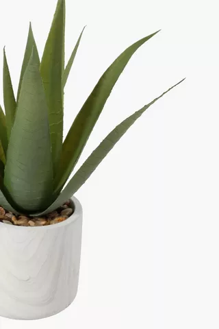Marble Potted Frosted Aloe, 8x10cm