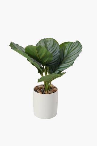 Ceramic Potted Plant, 26cm