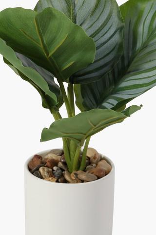 Ceramic Potted Plant, 26cm