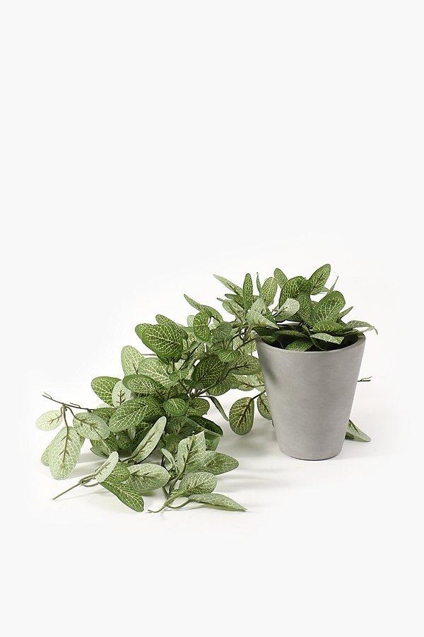 Cement Potted Trailing Plant, 35cm
