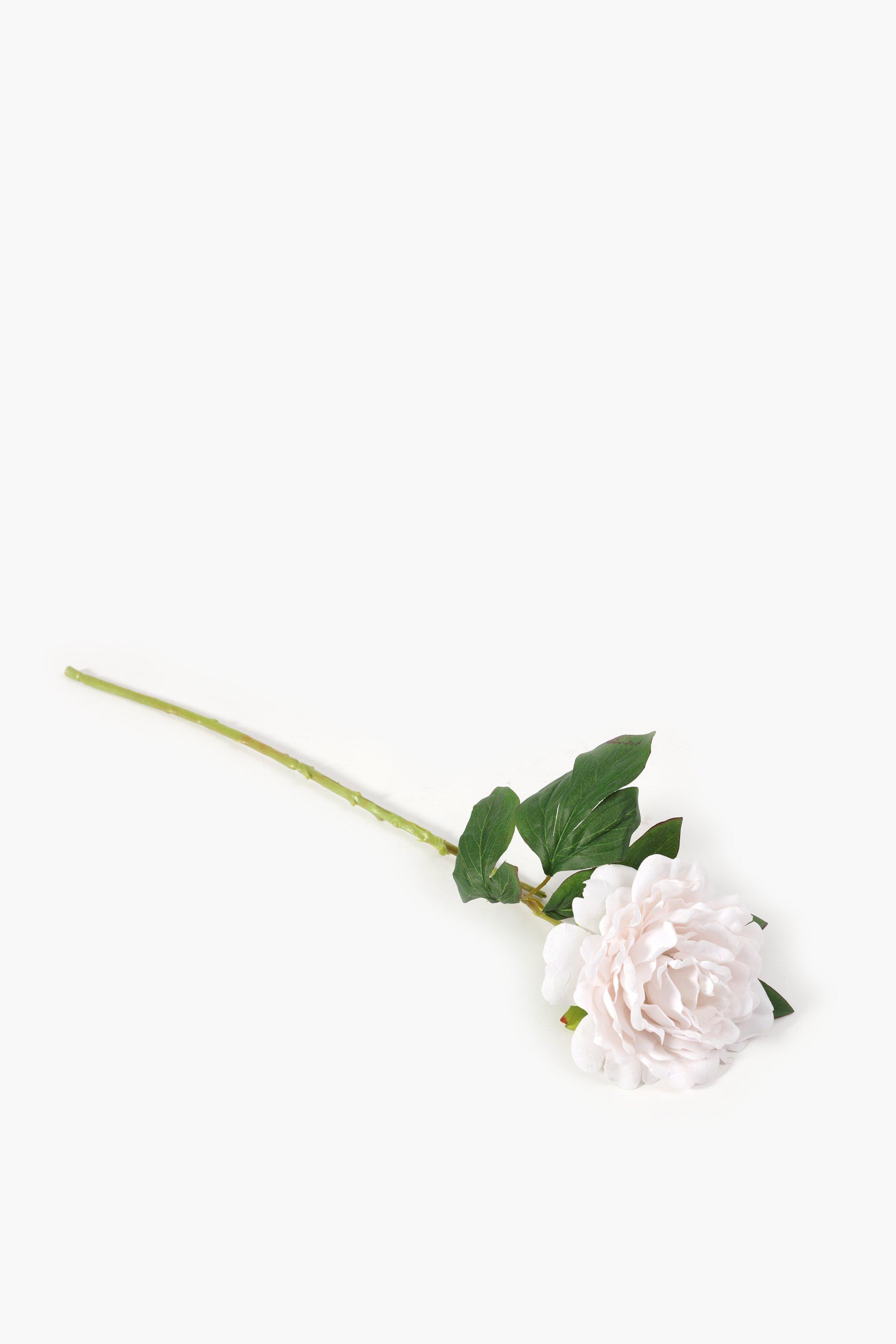 Garden Rose Single Stem, 64cm