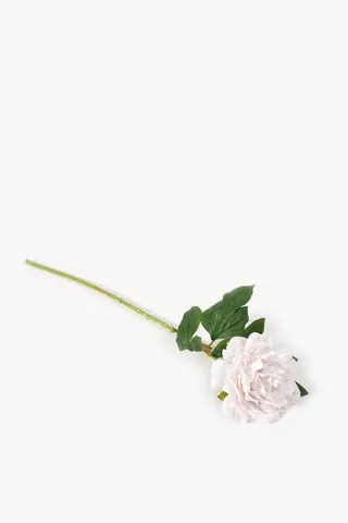 Garden Rose Single Stem, 64cm