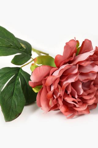 Garden Rose Single Stem, 64cm