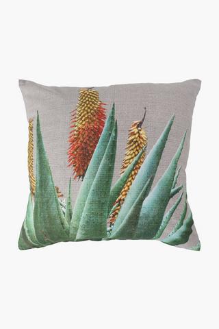 Printed Aloe Scatter Cushion Cover, 50x50cm
