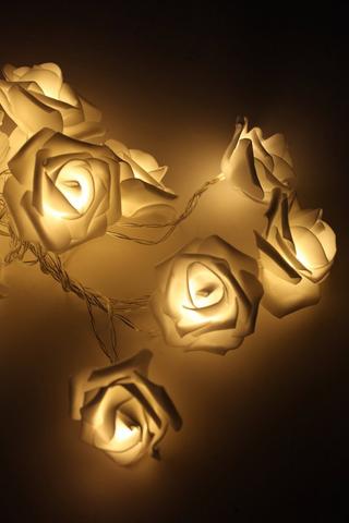 Roses String Light, 3m