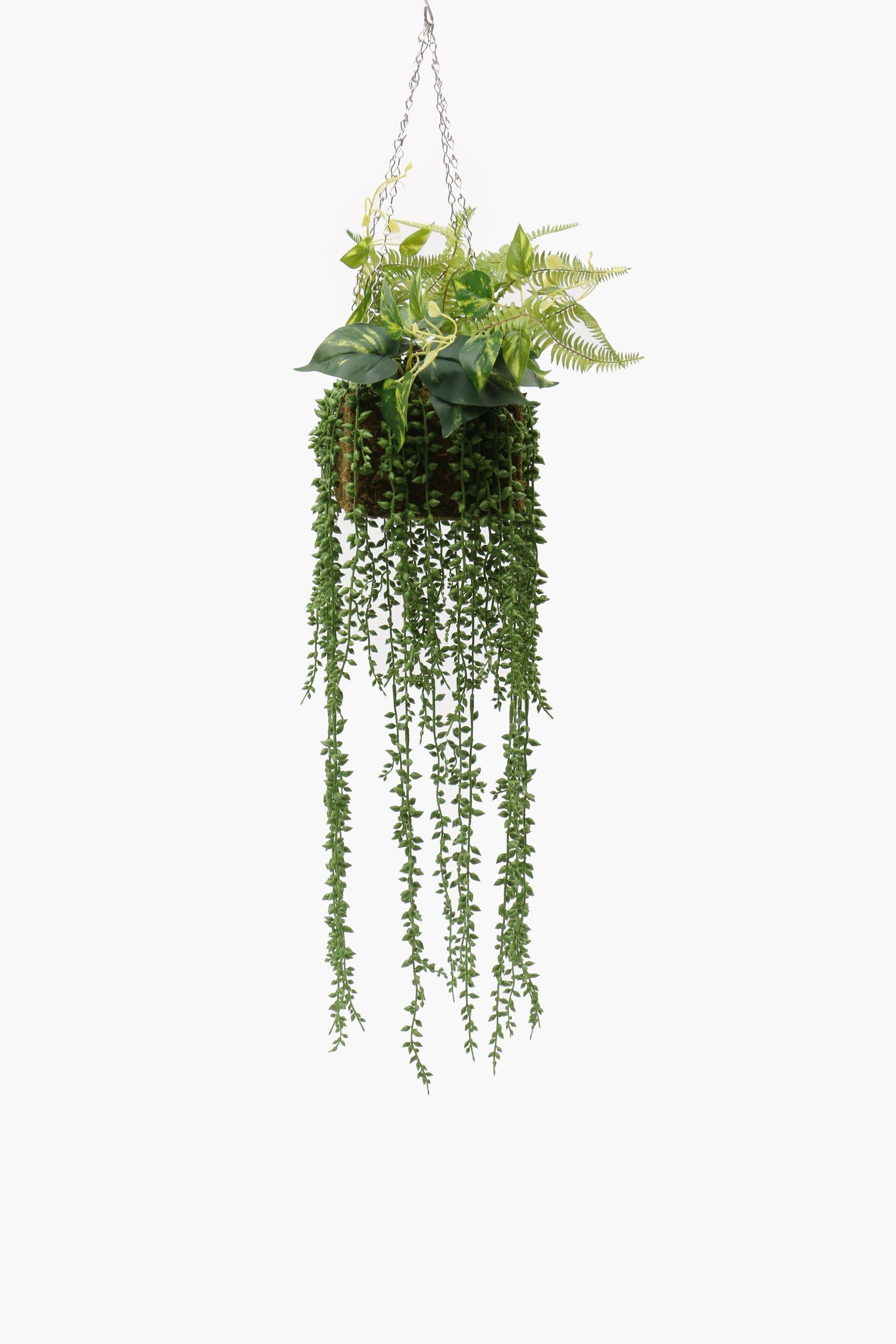 Hanging Multiplant, 100cm