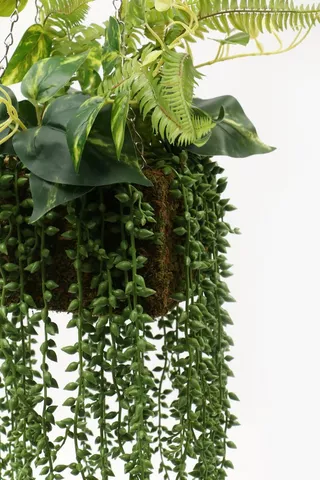 Hanging Multi-plant, 100cm