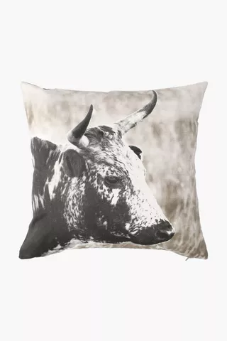 Printed Nguni Scatter Cushion, 50x50cm