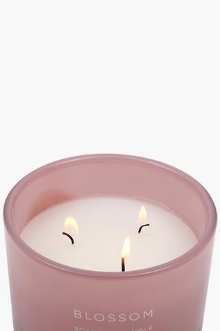 Blossom 3 Wick Candle, 8x12cm