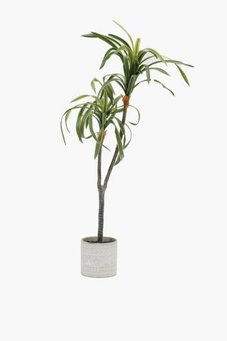 Embossed Pot Yucca Tree, 78cm