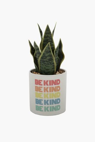 Script Potted Plant, 23cm