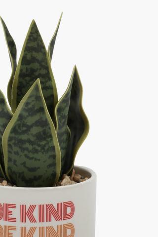 Script Potted Plant, 23cm