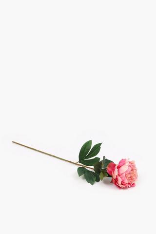 Peony Single Stem, 76cm