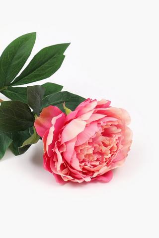 Peony Single Stem, 76cm