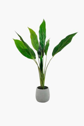 Banana Leaf Tree, 127cm