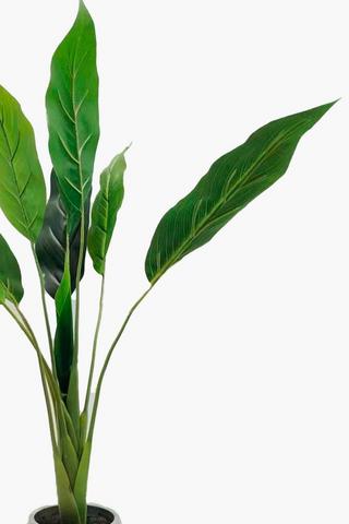 Banana Leaf Tree, 127cm