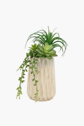 Diamond Pot Succulent, 8x20cm
