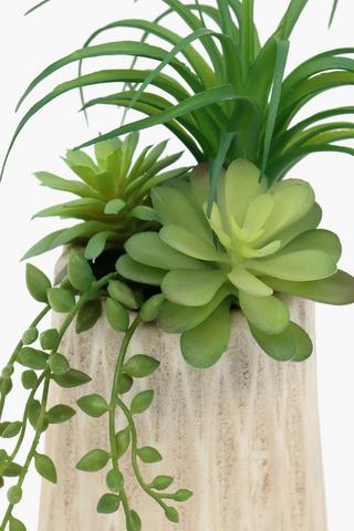 Diamond Pot Succulent, 8x20cm