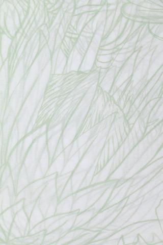 Floral Tisue Paper