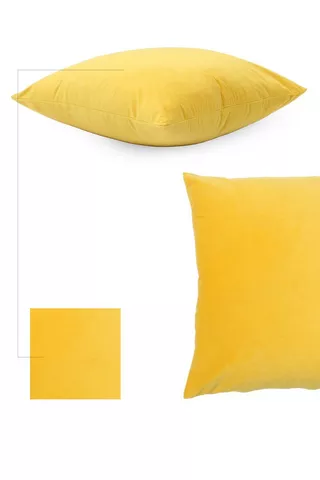 Velvet Scatter Cushion, 50x50cm
