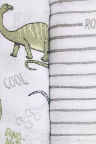 2 Pack Cotton Muslin Dino Swaddle Blankets
