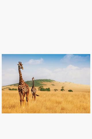 Giraffe Veld Canvas, 40x60cm