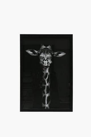 Framed Gerry Giraffe, 40x60cm