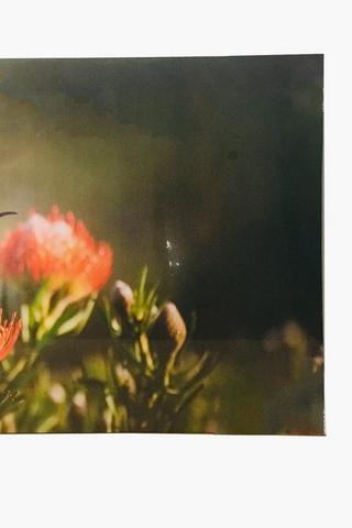 Hummingbird Canvas, 40x60cm
