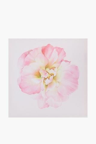 Peony Printed Canvas, 40x40cm