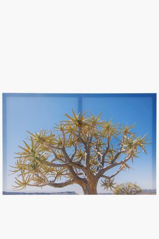 Boabab Tree Canvas, 40x60cm