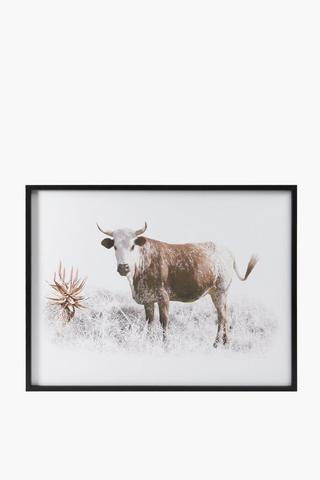 Nguni Calf Framed Canvas, 75x100cm