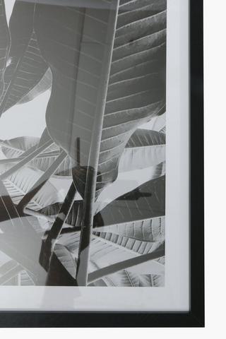 Frame Mono Tropical, 40x60cm