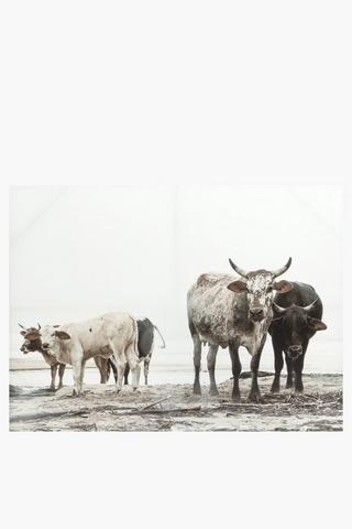 Nguni Herd Canvas, 90x120cm