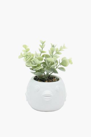 Fish Pot Plant, 11x16cm