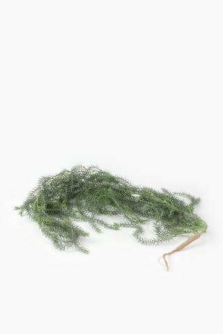 Hanging Beard Vine, 160cm