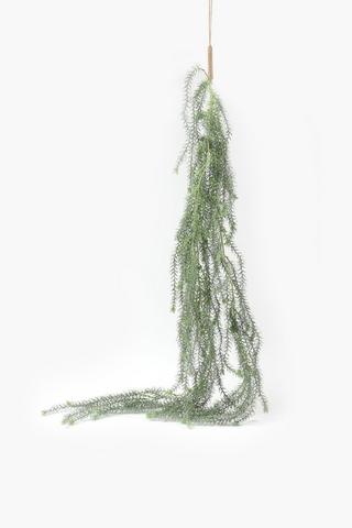 Hanging Beard Vine, 160cm