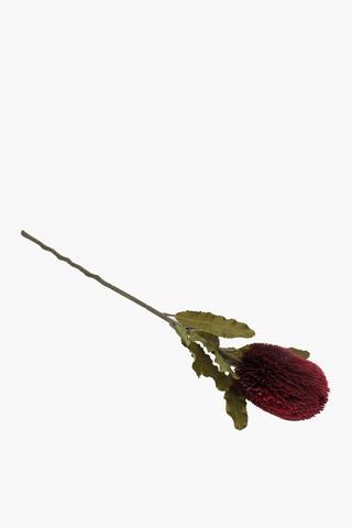 Banksia Single Stem, 64cm