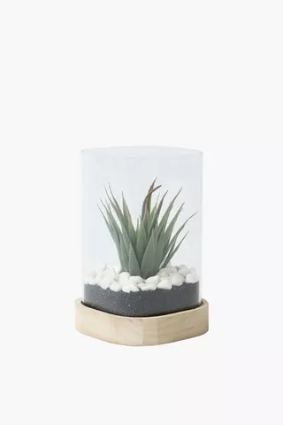Wood Base Glass Succulent, 12x22cm