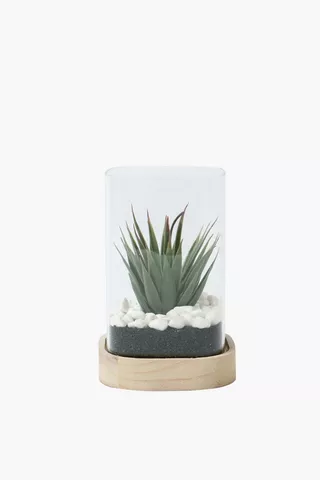 Wood Base Glass Succulent, 12x22cm