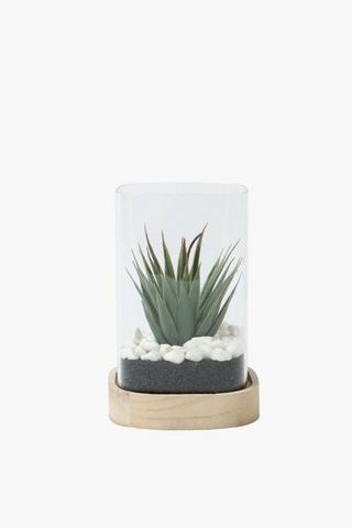 Wood Base Glass Succulent, 12x22cm