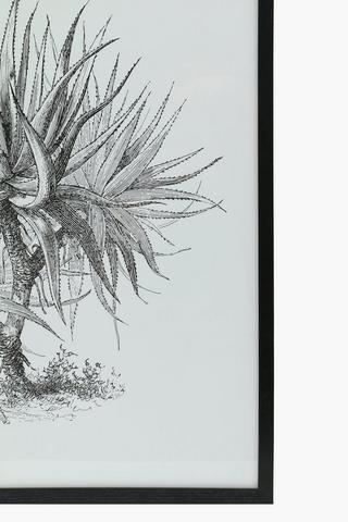 Framed Glass Aloe, 60x90cm