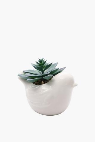Bird Pot Aloe Plant, 14x10cm