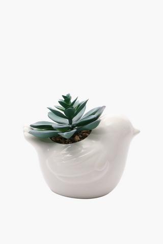 Bird Pot Aloe Plant, 14x10cm