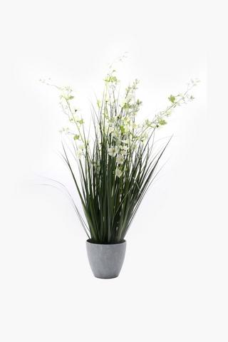 Onion Grass Plant, 16x95cm
